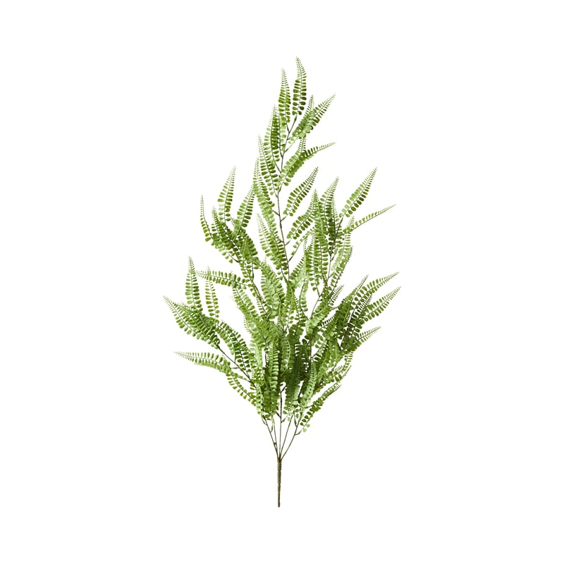 Babylon Green Stem