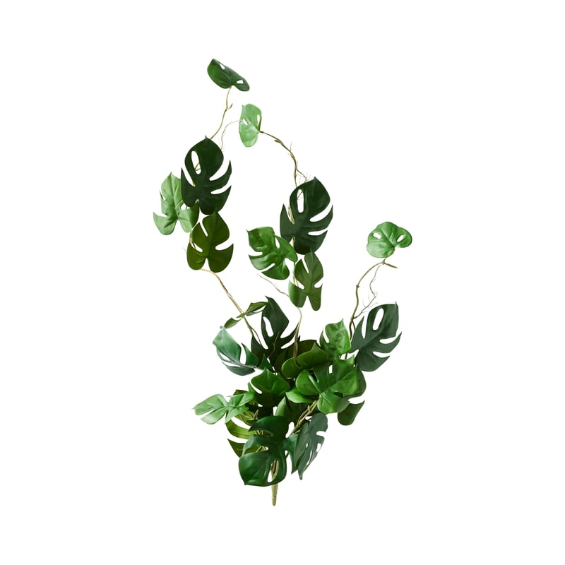 Babylon Green Stem