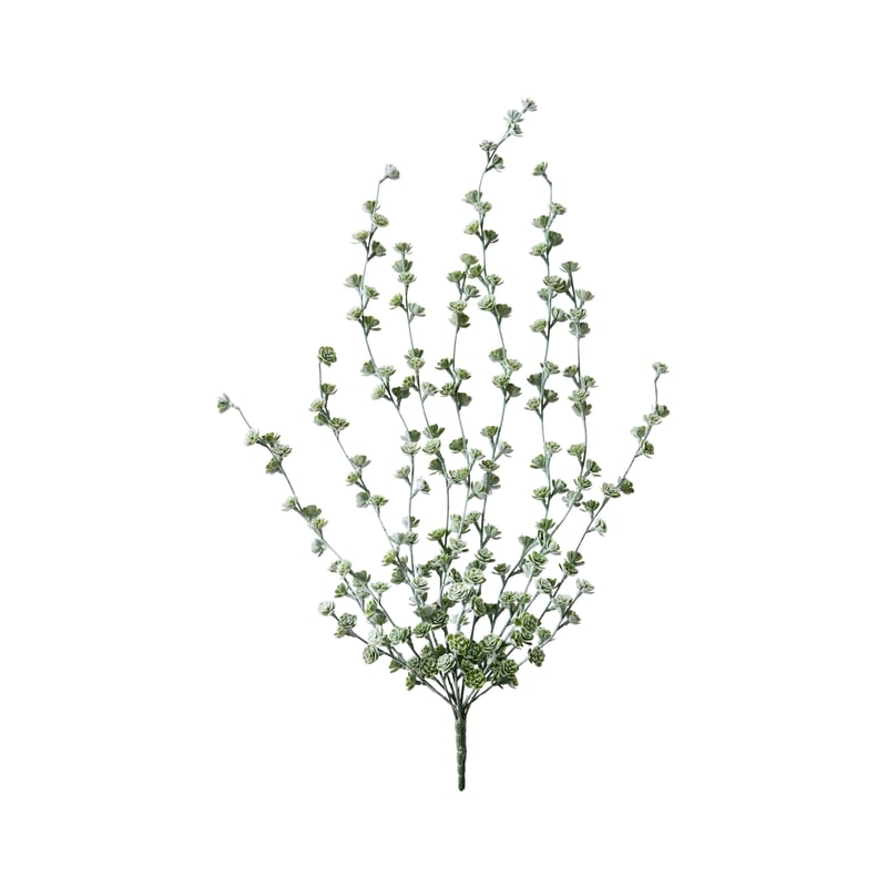 Babylon Green Stem