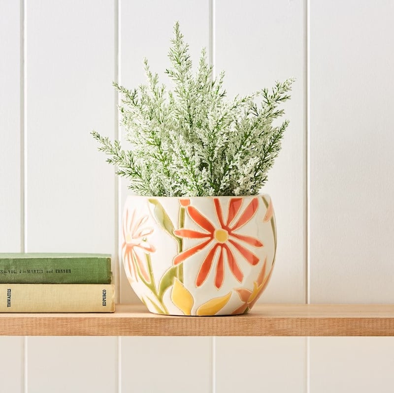 Flowering Heather Potted Plant