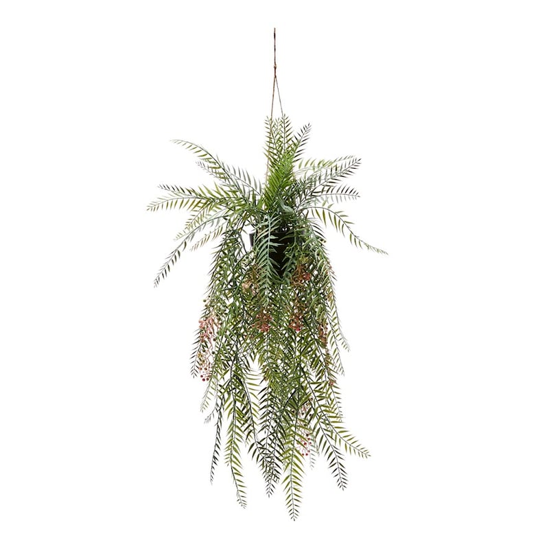 Pepper Silver Green Hanging Fern