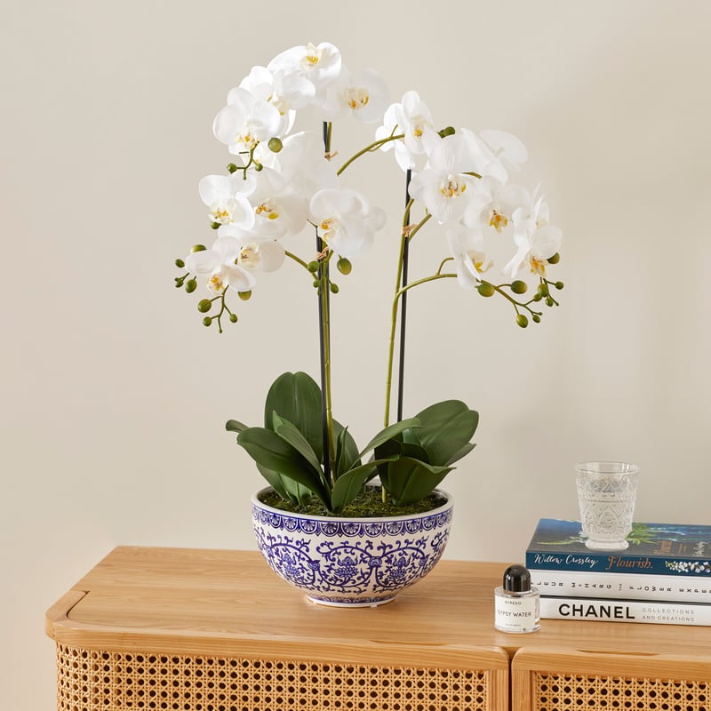 Chinoiserie 6 Stem Orchid Collection