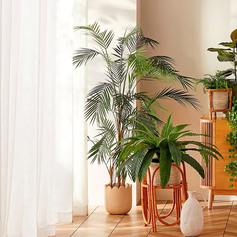 Petal Cafe Creme Pot