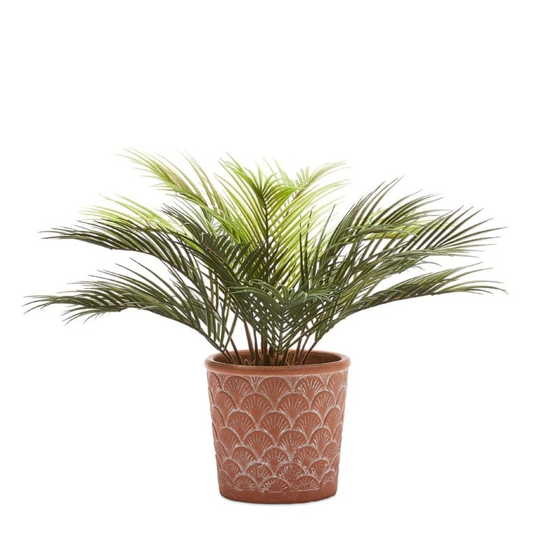 Osaka Terracotta Scallop Pot