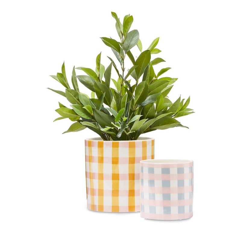 Lisbon Mustard & Pink Check Pot