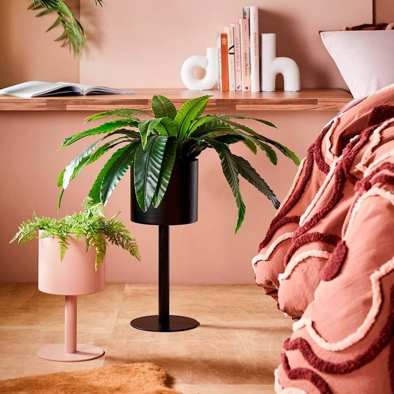 Tazza Black Plant Stand