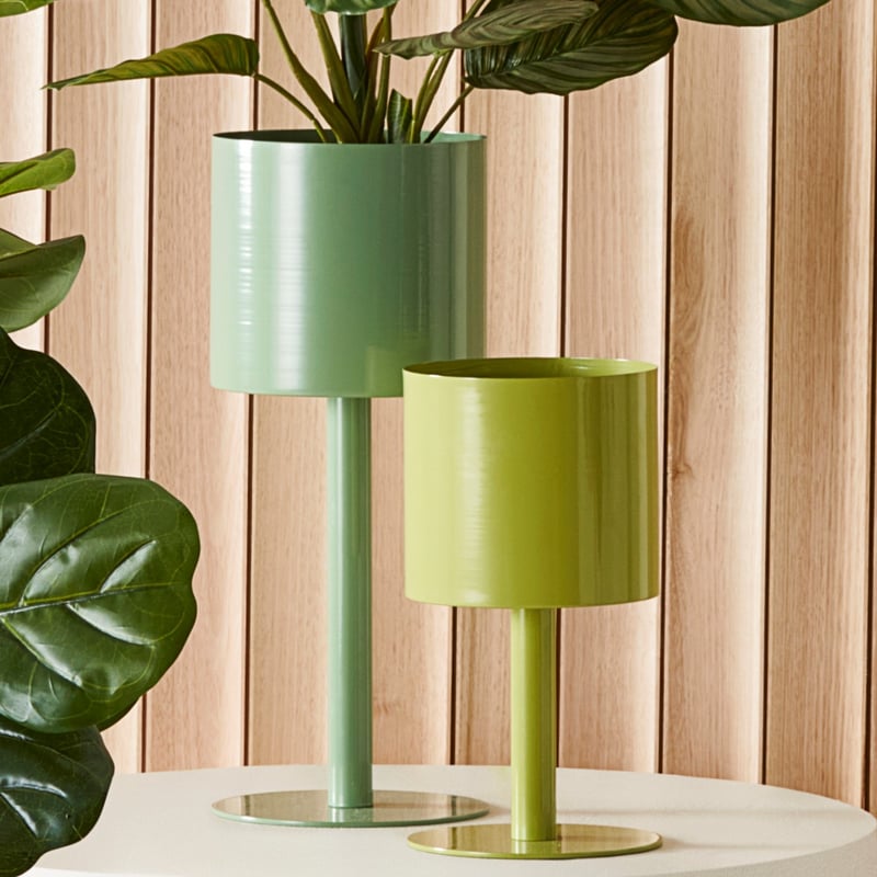 Tazza Grass Plant Stand