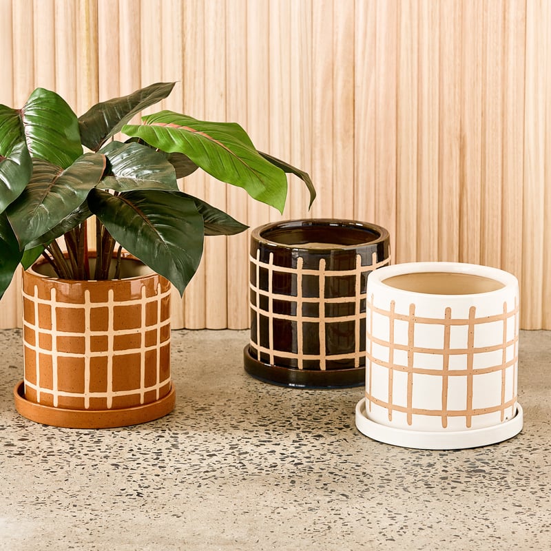 Eden Blue and Brown Pot