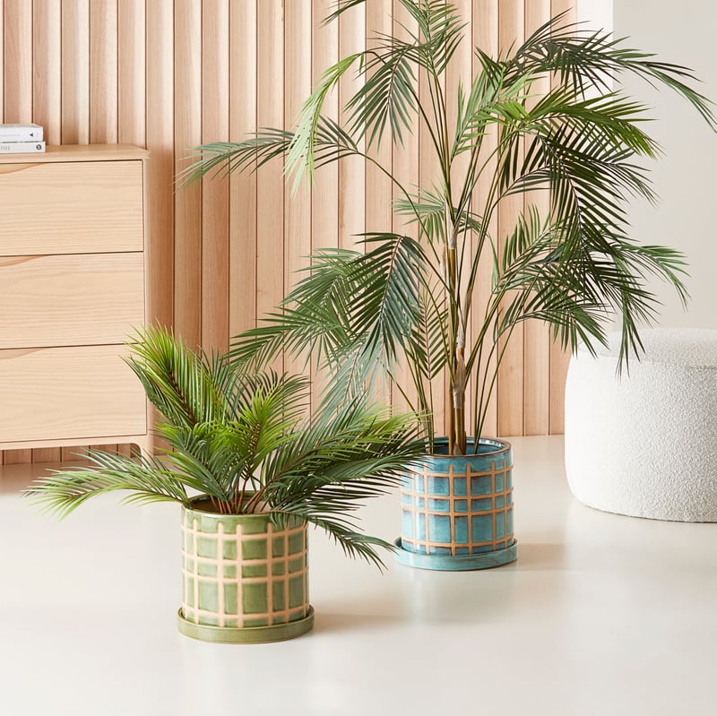Eden Green Pot
