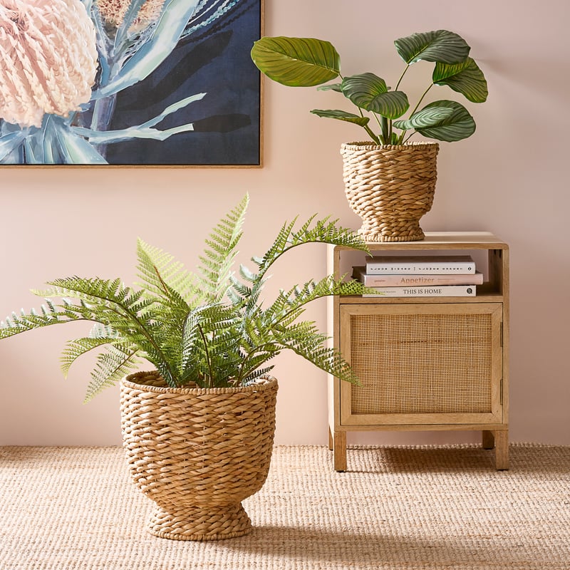 Hermsley Natural Plant Stand