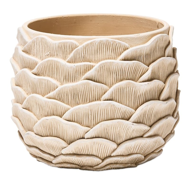 Oyster Natural Shell Pot