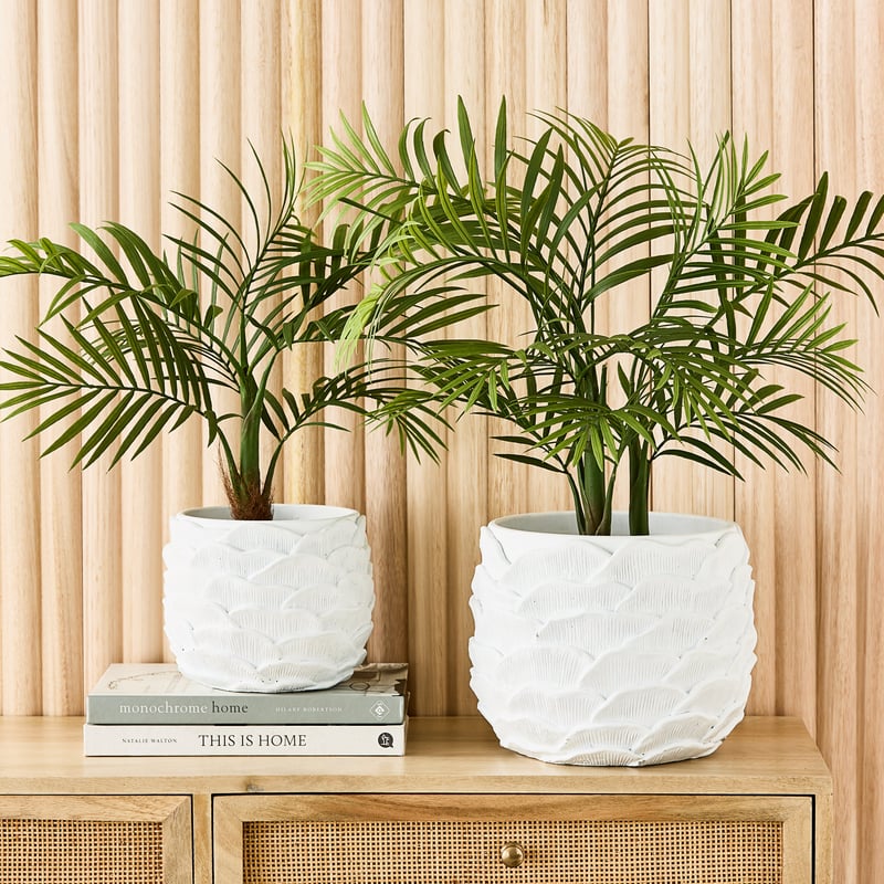 Oyster White Shell Pot 