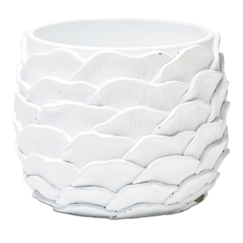 Oyster White Shell Pot 