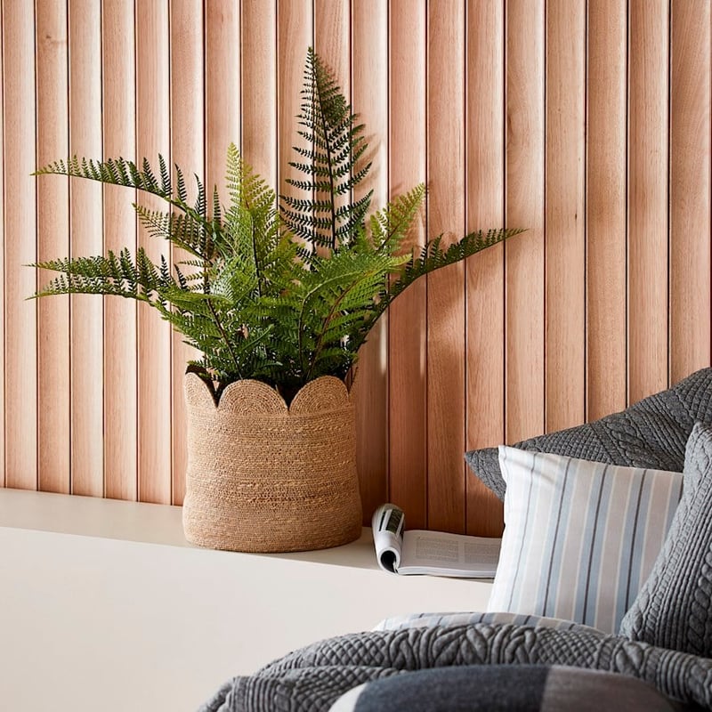 Kochi Natural Scallop Basket