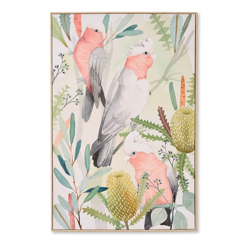 Native Bushland Pink Galah Canvas