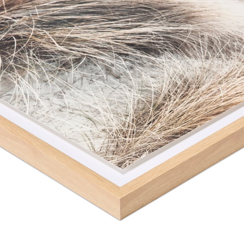 Flinders Beach Grass Framed Wall Art