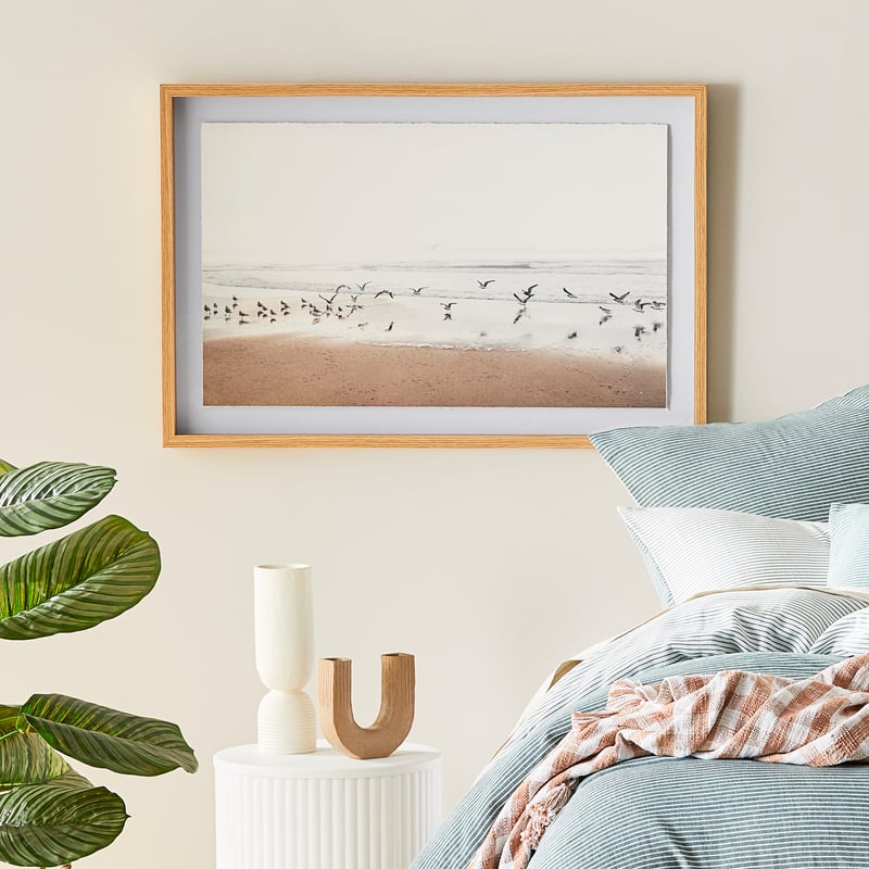 Flinders Sea Birds Framed Wall Art