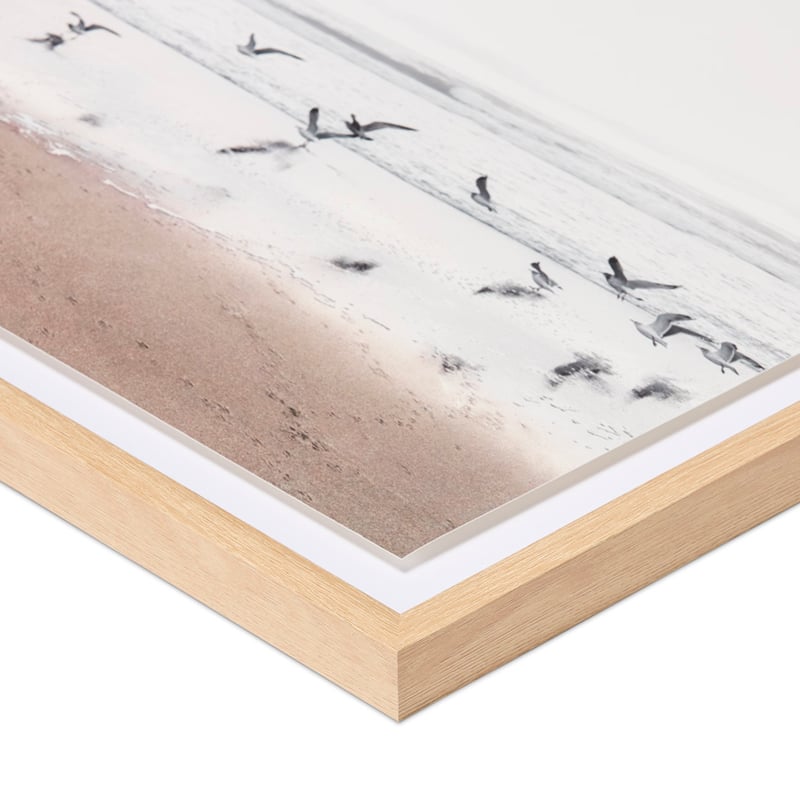 Flinders Sea Birds Framed Wall Art