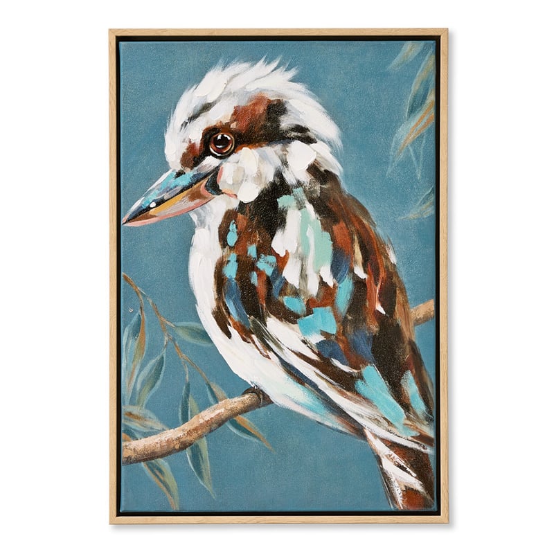 Aves Kookaburra Canvas