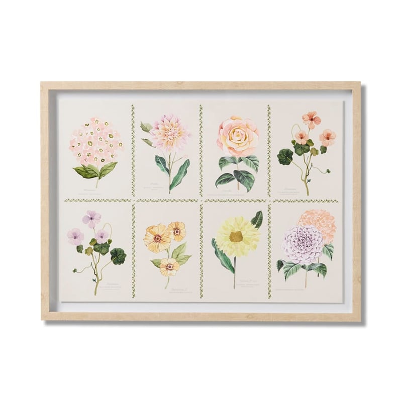 Botanicus Multi Framed Wall Art