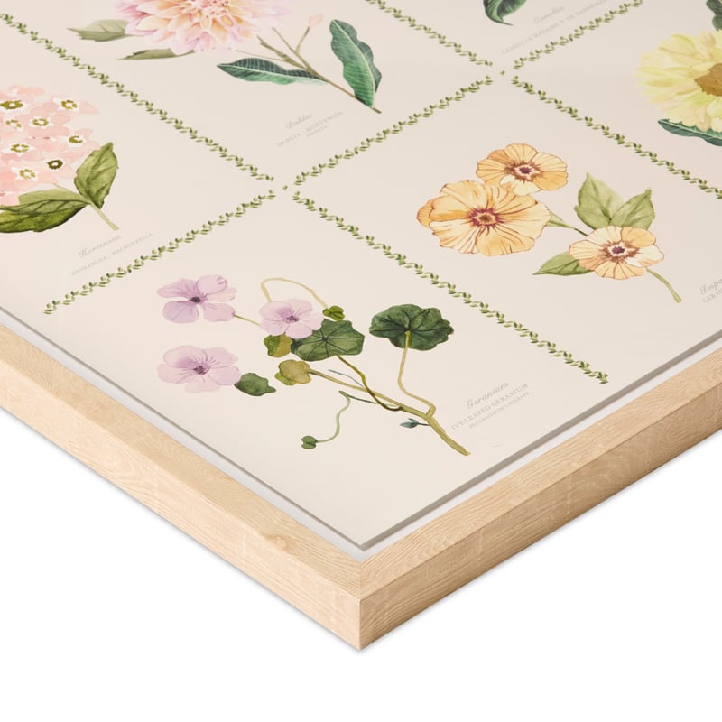 Botanicus Multi Framed Wall Art