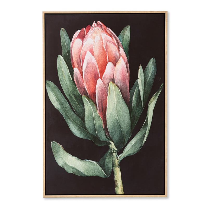 Flora & Fauna Protea Canvas