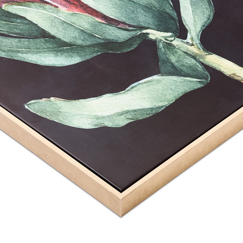 Flora & Fauna Protea Canvas