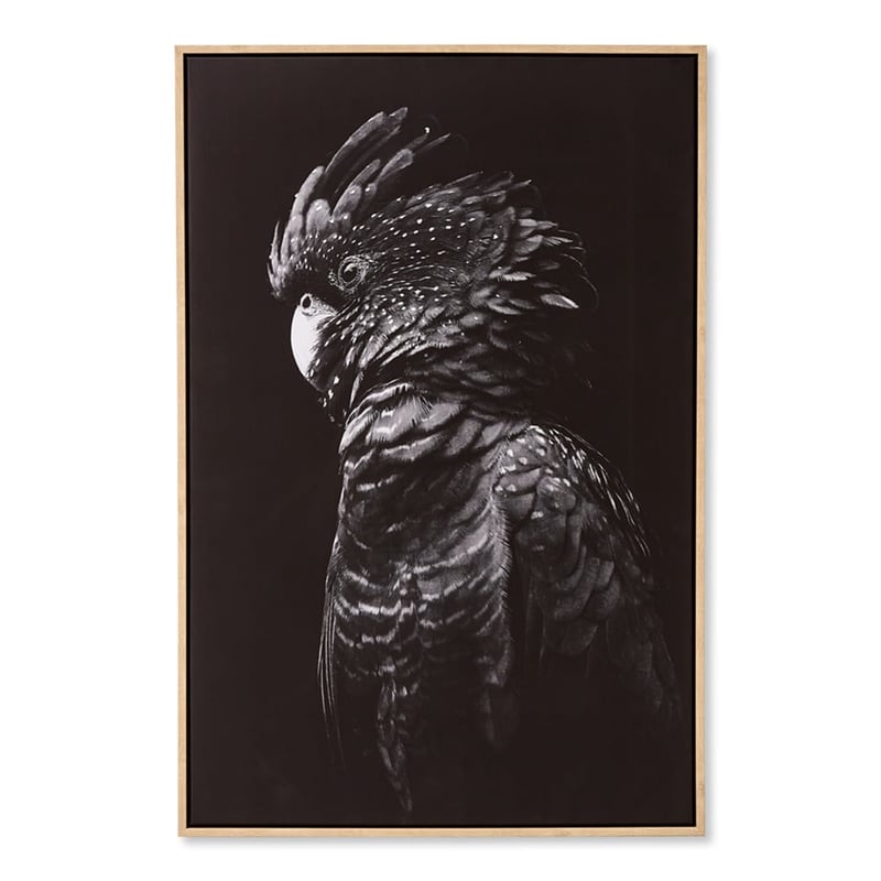 Flora & Fauna Midnight Cockatoo Canvas