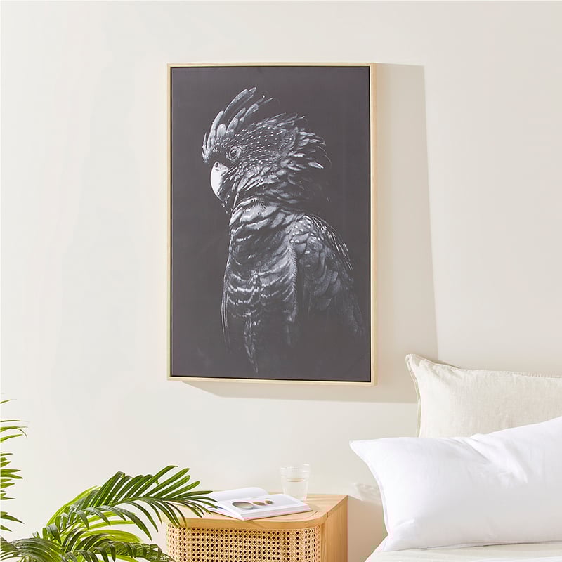 Flora & Fauna Midnight Cockatoo Canvas