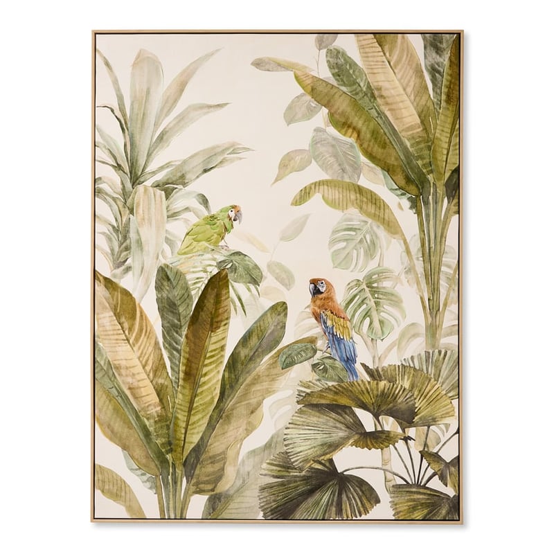Rainforest Parrots Canvas