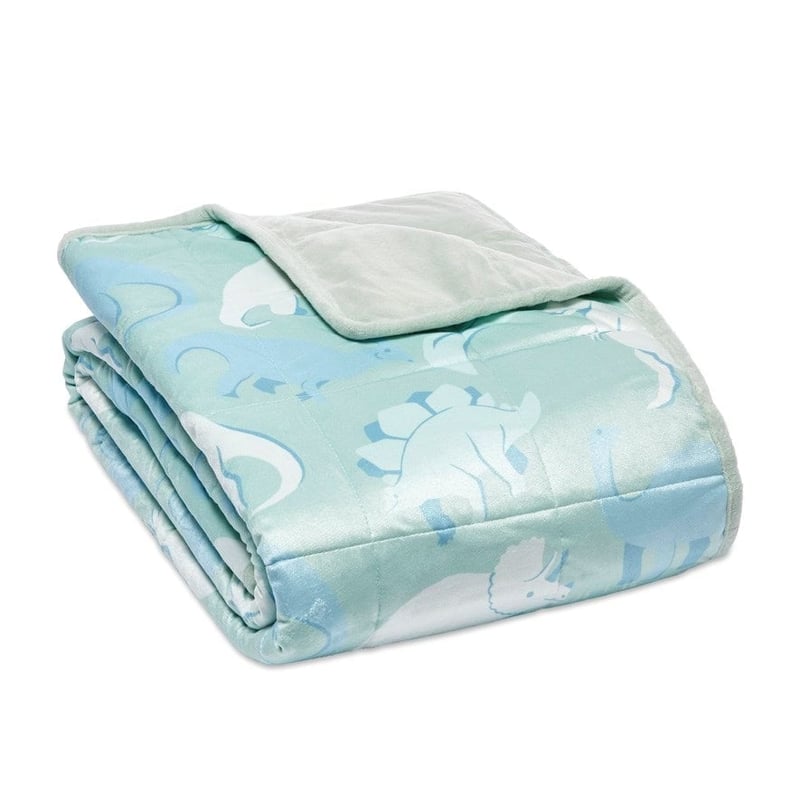 Dinomite Printed Weighted Blanket