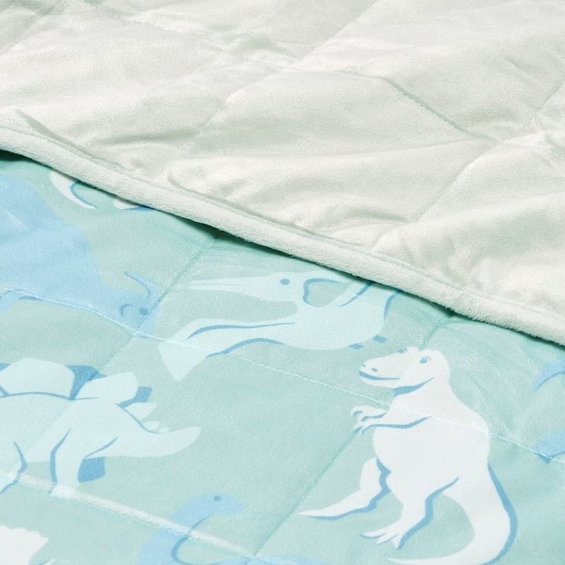 Dinomite Printed Weighted Blanket