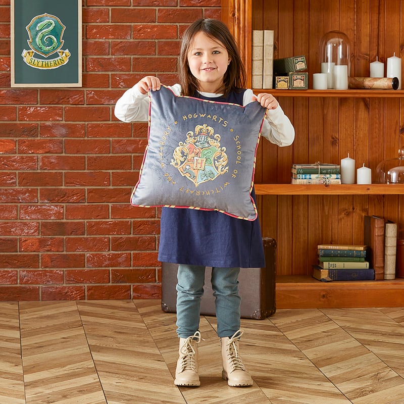 Warner Bros Harry Potter Hogwarts Collection Cushion