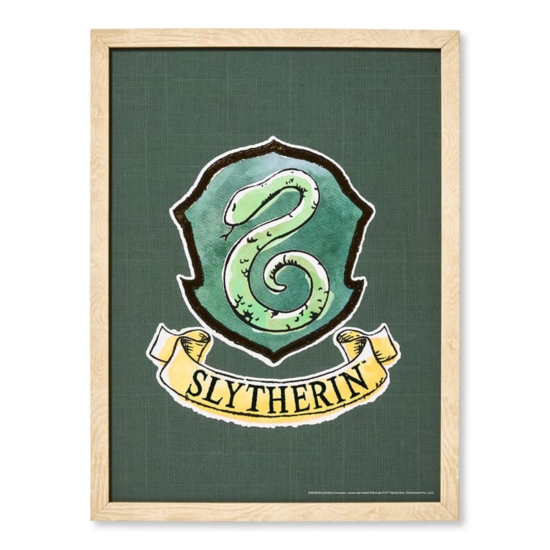 Warner Bros Harry Potter Slytherin Wall Art