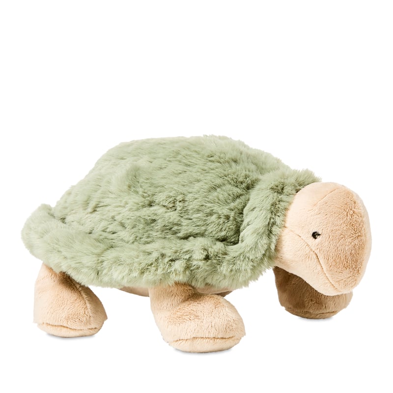 Tommy Turtle Toy