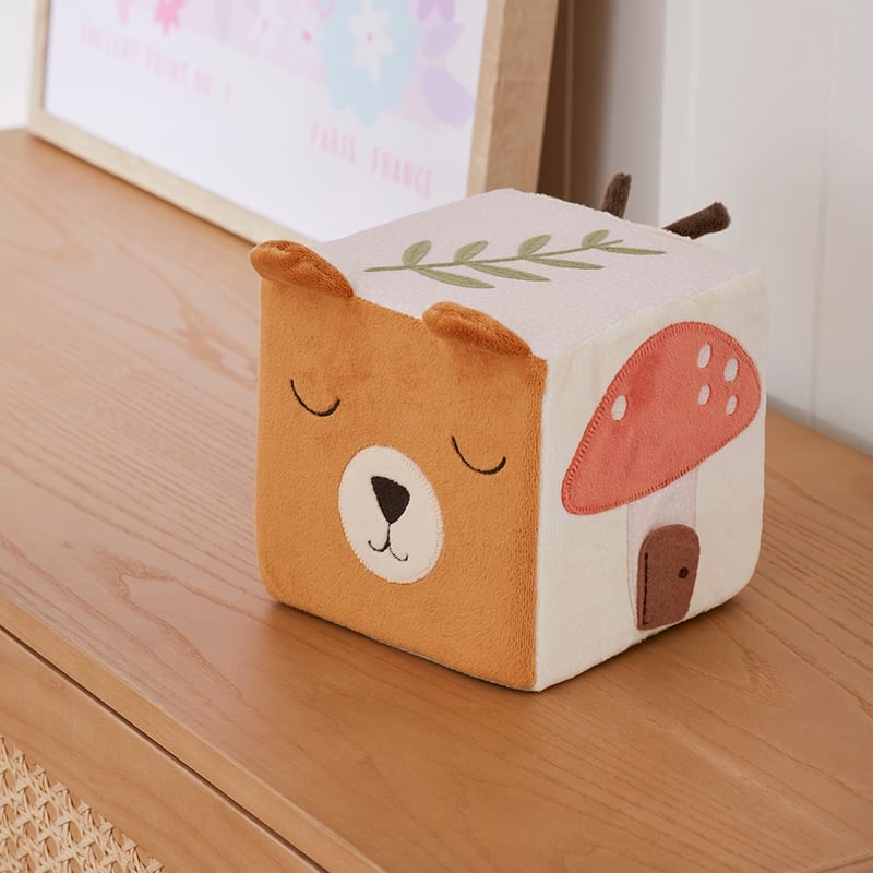 Woodlands Sensory Cube Play Time Baby Toy
