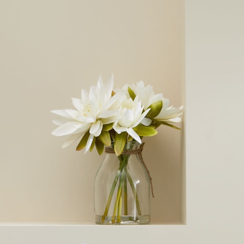 Fleurs dans l'eau White & Green Water Lilies