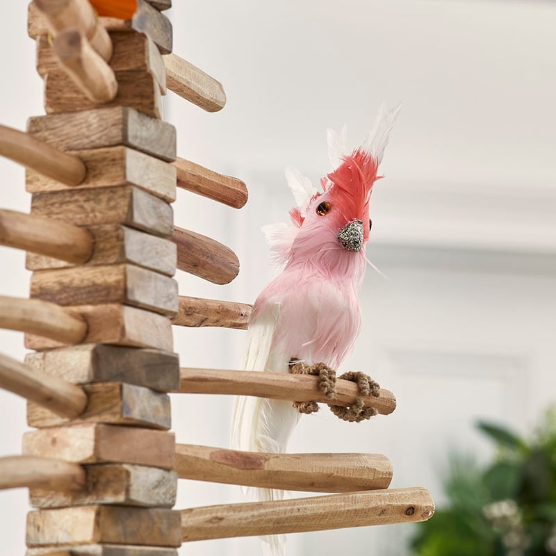 Australiana Feather Bird Major Mitchell Tree Topper