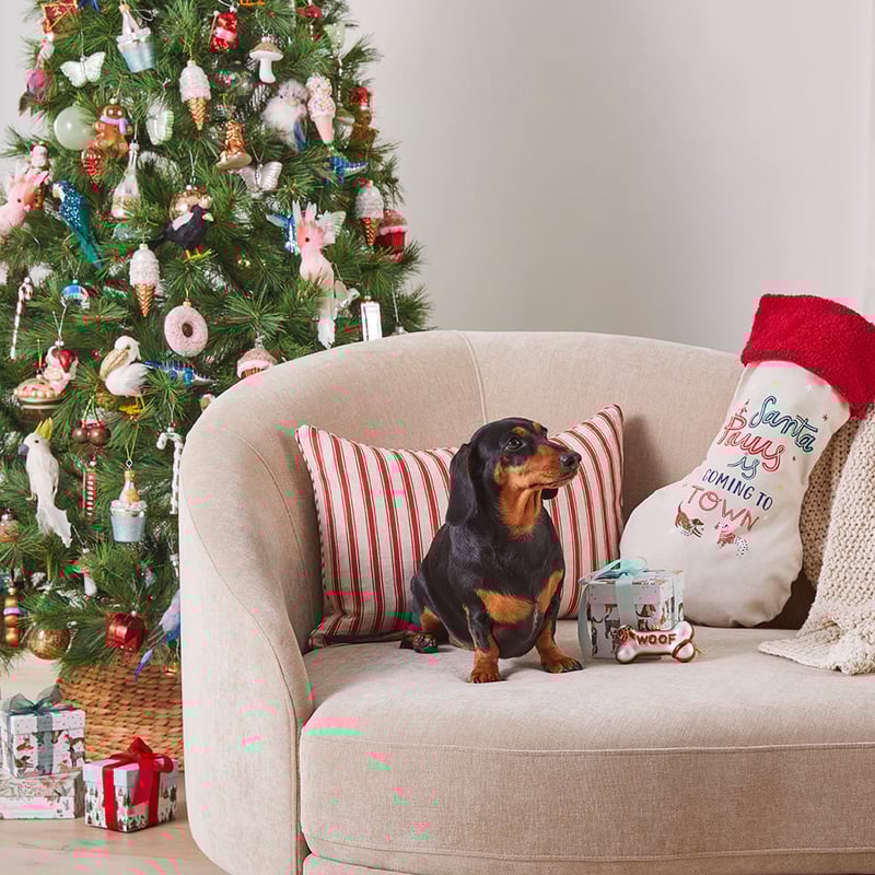 Festive Dachshund Cushion
