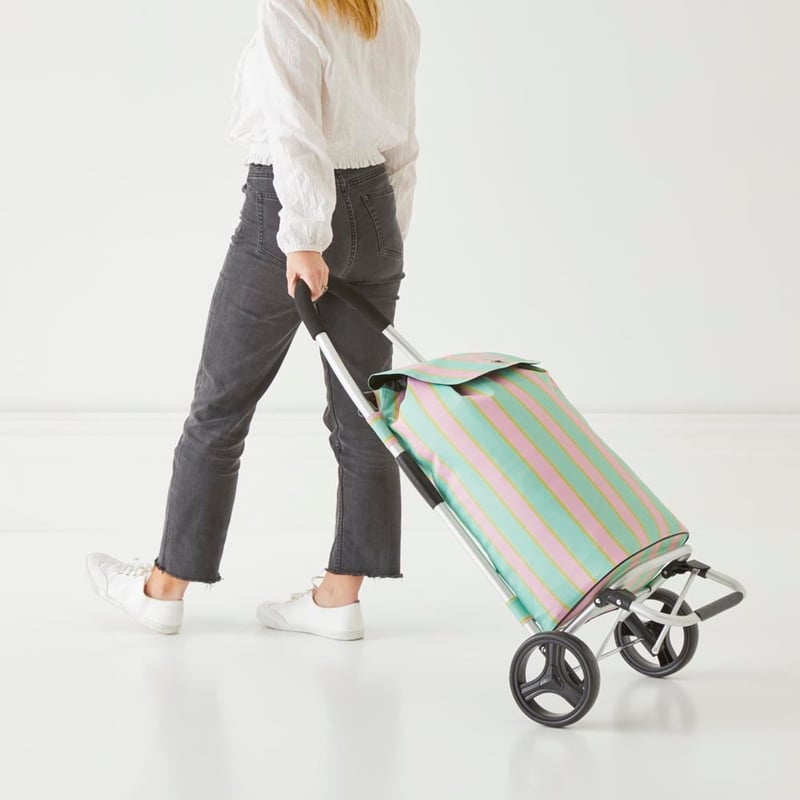 Summer Stripe Shopping Trolley