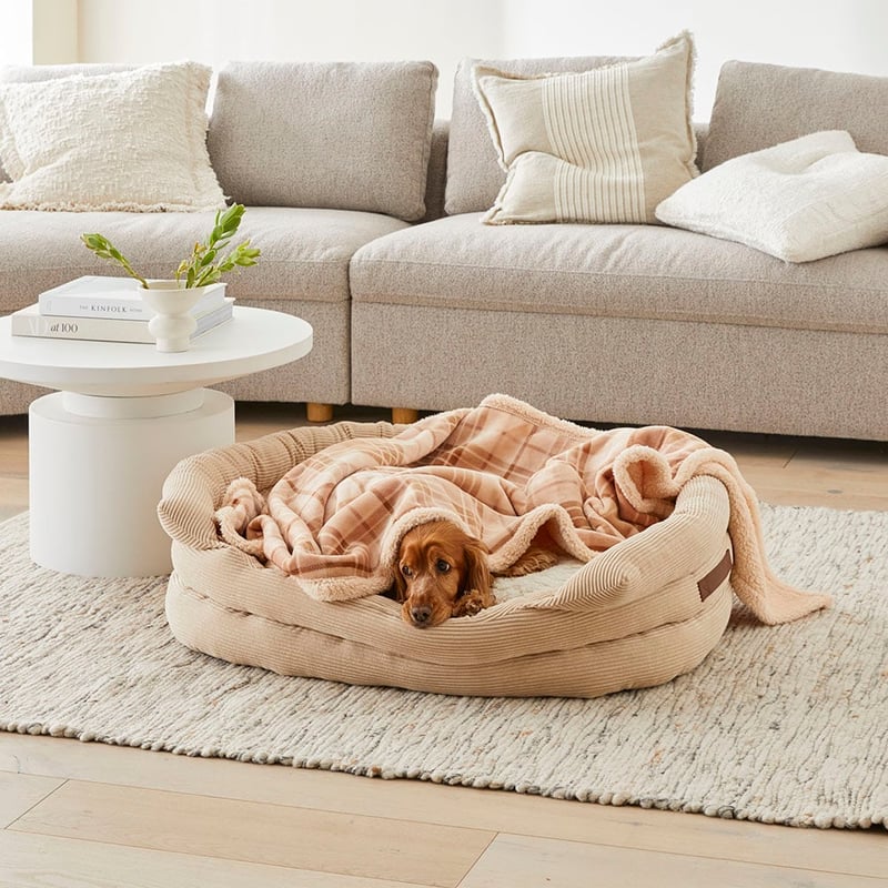 Maisy Biscuit & Spice Check Pet Blanket