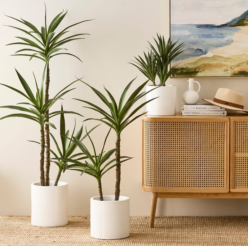 Heneken Potted Plant 110cm