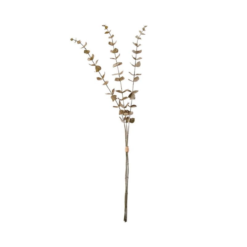 Native Green Eucalyptus Bundle