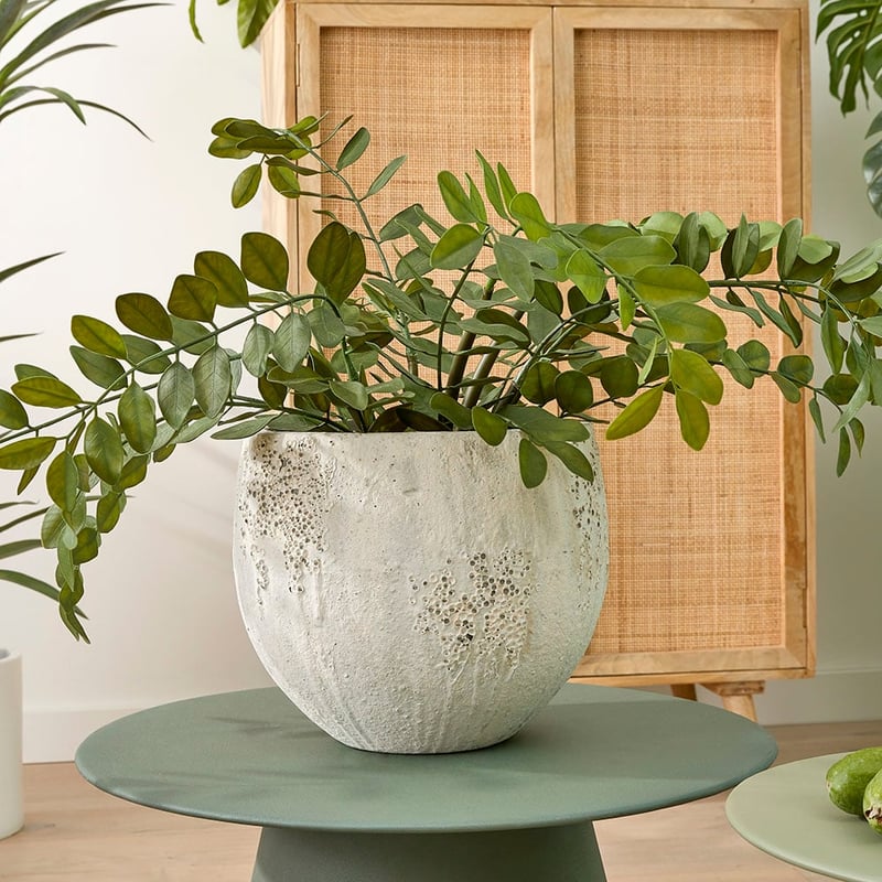 Potted Green Orange Blossom 76cm