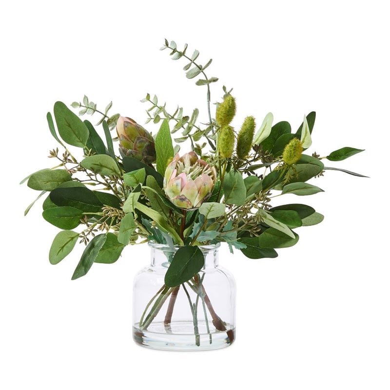 Fleur dans l'eau Protea Buds Eucalyptus