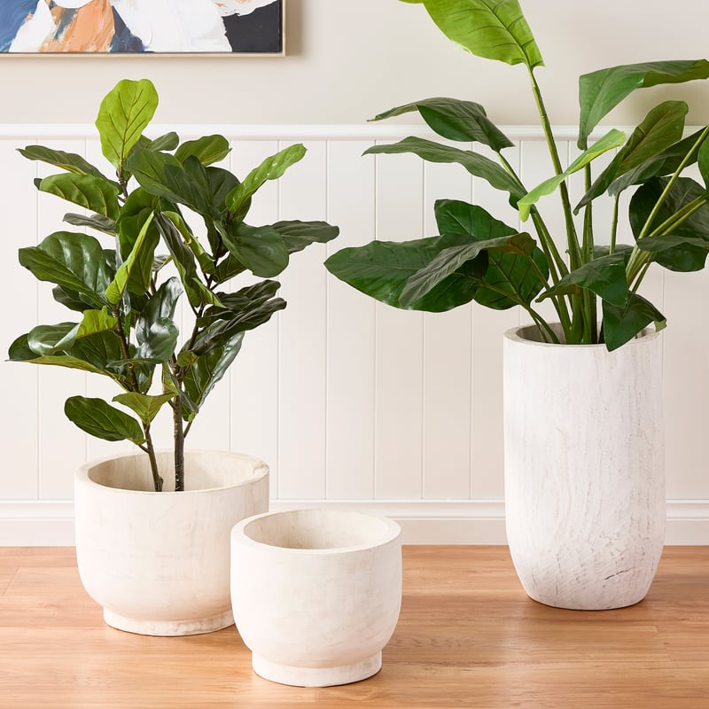 Jasper White Wash Timber Pot