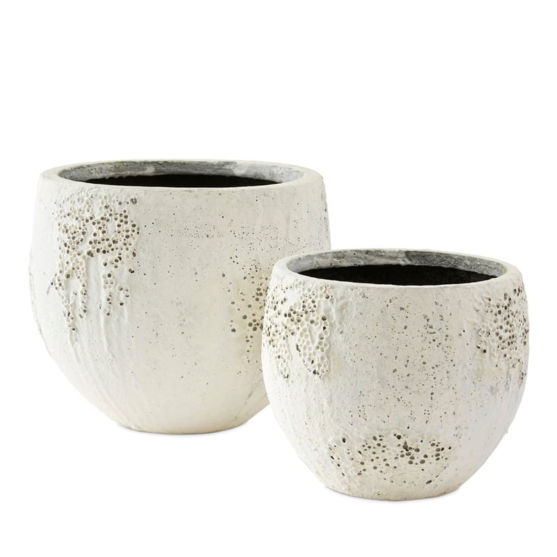 Odyssey Medium Rustic White Pot