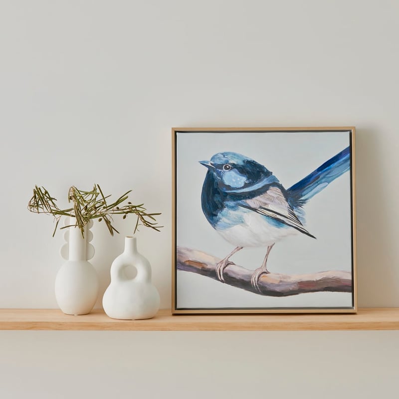 Aves Blue Wren Canvas