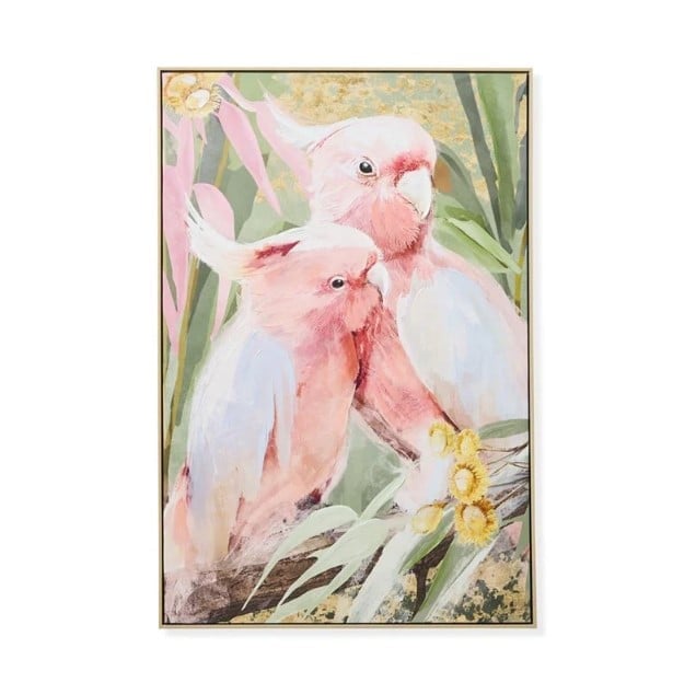 Aves Galahs Canvas