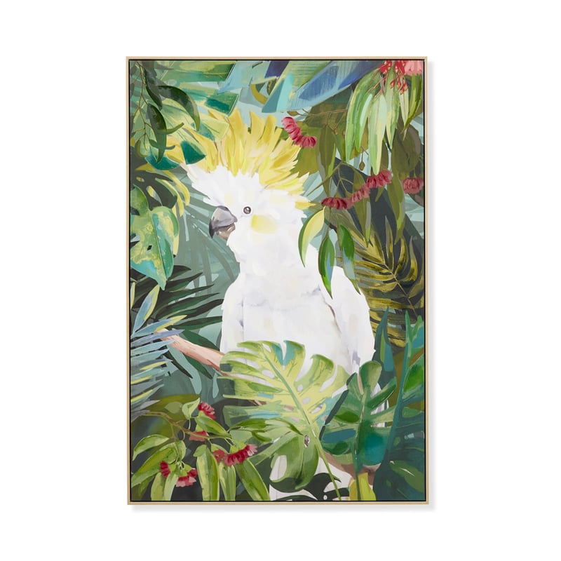 Aves Jungle Cockatoo Canvas